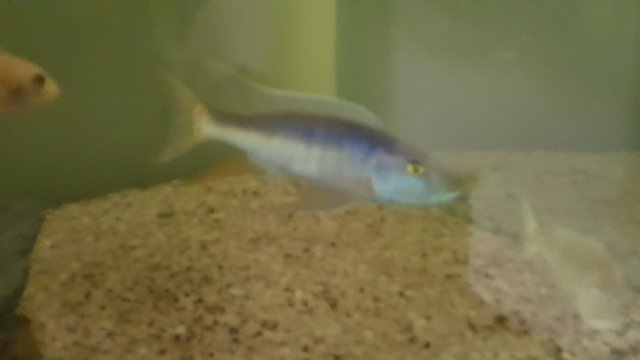 20160502_105844.jpg