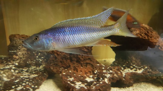 20160503_211645.jpg