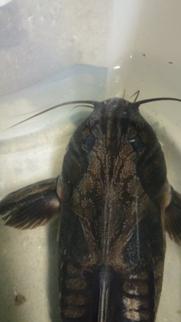 20160504_092345.jpg