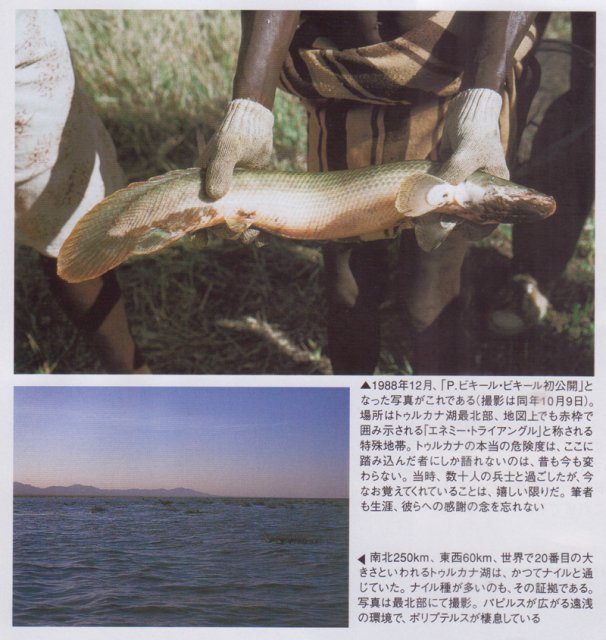 Lake turkana 1988.jpg