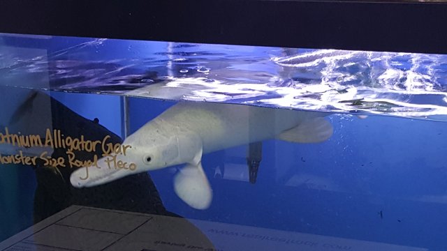 20160504_114512.jpg 20160504_114512.jpg