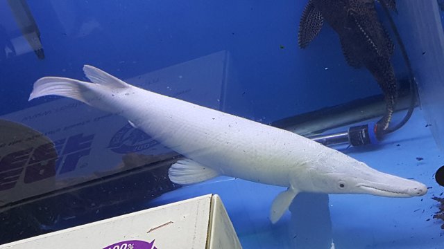 20160504_114524.jpg 20160504_114524.jpg