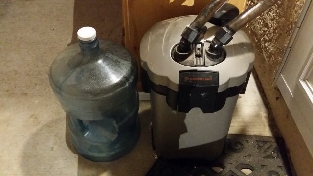 20160504_200654.jpg