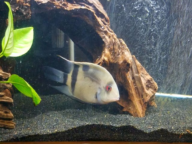 20160504_211334.jpg