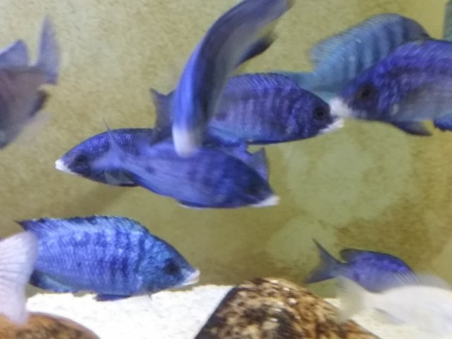 20151003_083253.jpg