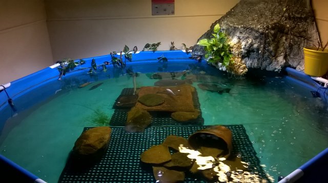 WP_20160324_09_03_13_Pro.jpg