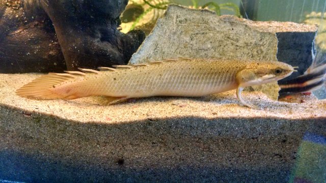 IMG_20160507_100304772_HDR.jpg