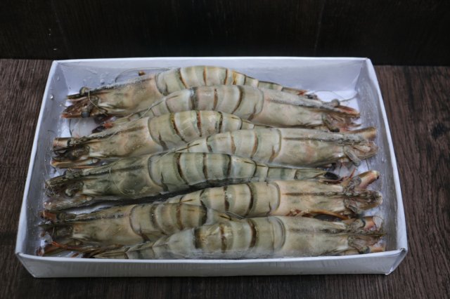 tiger-shrimps.jpg