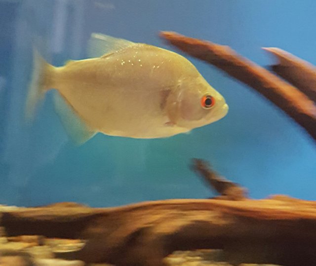 20160507_150027.jpg