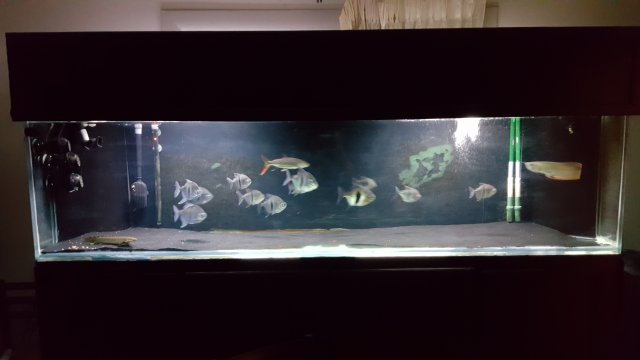 20160210_213307.jpg