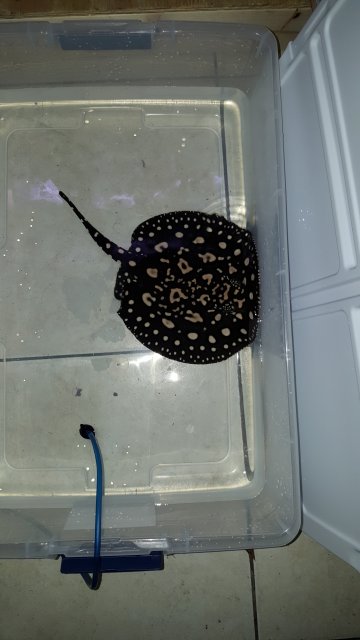 20160423_124017.jpg