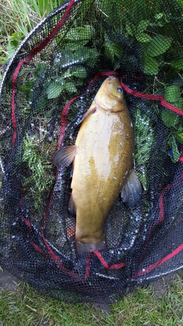 20160511_202325.jpg