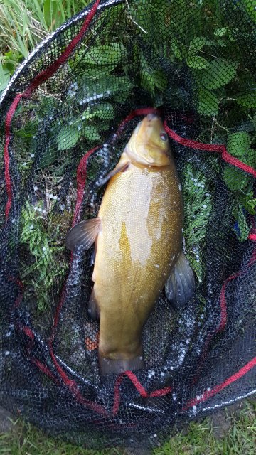 20160511_202319.jpg
