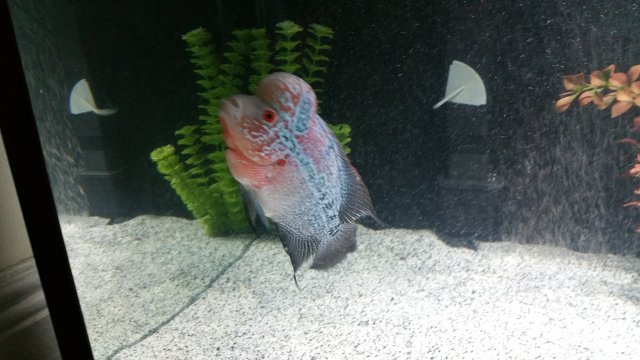 20160511_181122.jpg 20160511_181122.jpg