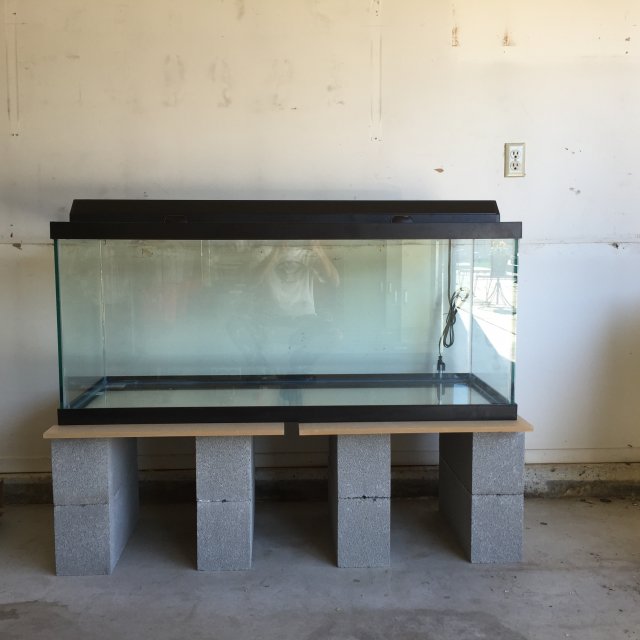 75 sales gallon stand