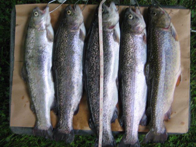 STA_1501.JPG