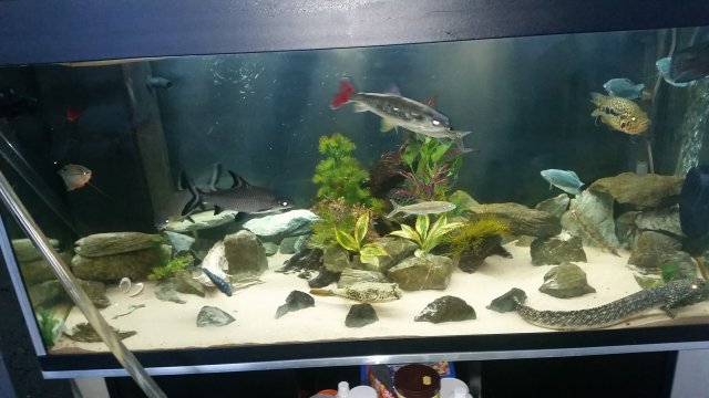 20160512_165615.jpg