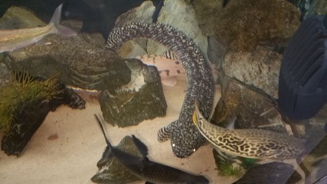 20160512_171857.jpg