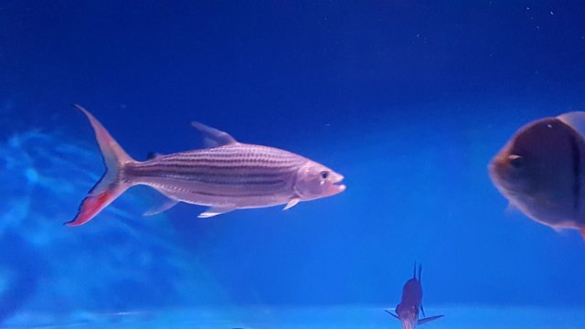 20160514_214000.jpg