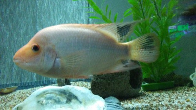 20160516_204705_Burst01.jpg