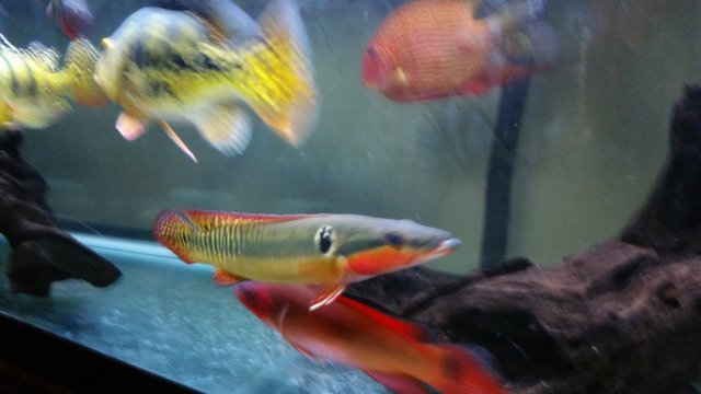 20160516_190618.jpg