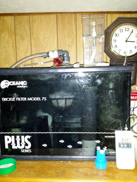 20160115_030331.jpg 20160115_030331.jpg