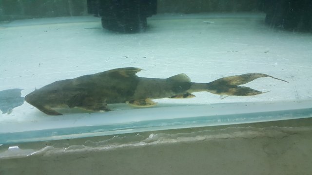 20160518_080025.jpg