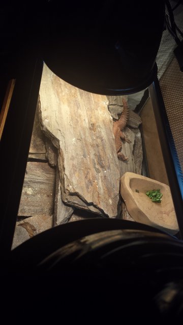 20160518_094855.jpg 20160518_094855.jpg