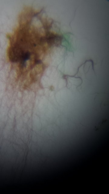 20160519_192236.jpg