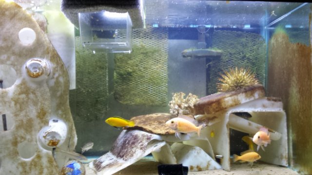 20160507_180640.jpg