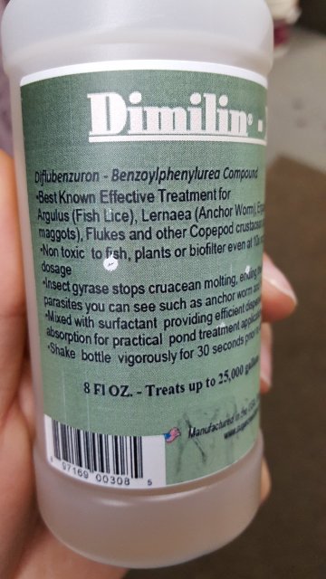 20160522_115427.jpg