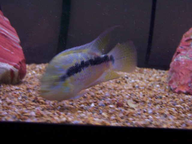100_0234.JPG