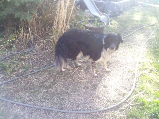 20160406_180709.jpg