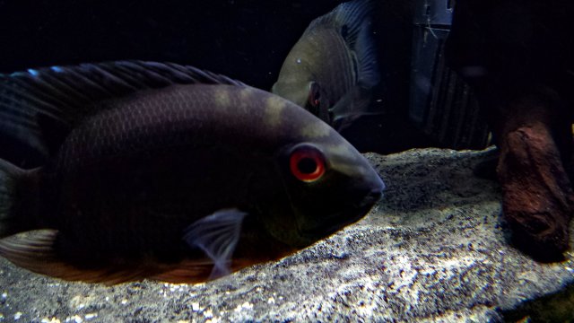 PSX_20160516_195457.jpg
