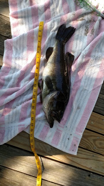 IMG_20160527_170828142.jpg