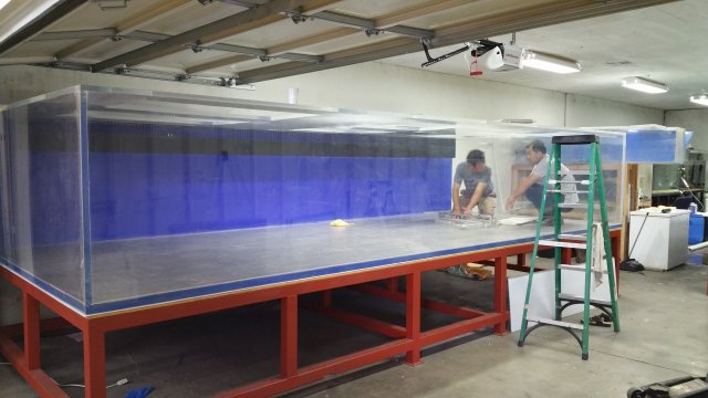 20160528_122953.jpg