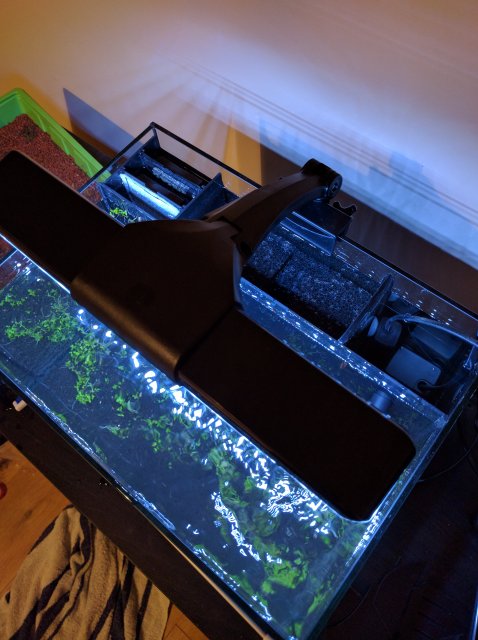 Aqua one deals betta duo