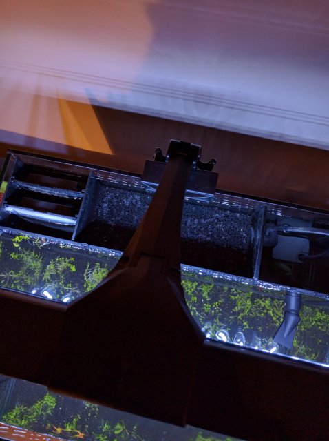 IMG_20160529_232951.jpg IMG_20160529_232951.jpg