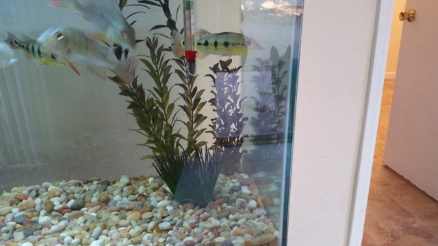 20160529_190100.jpg 20160529_190100.jpg