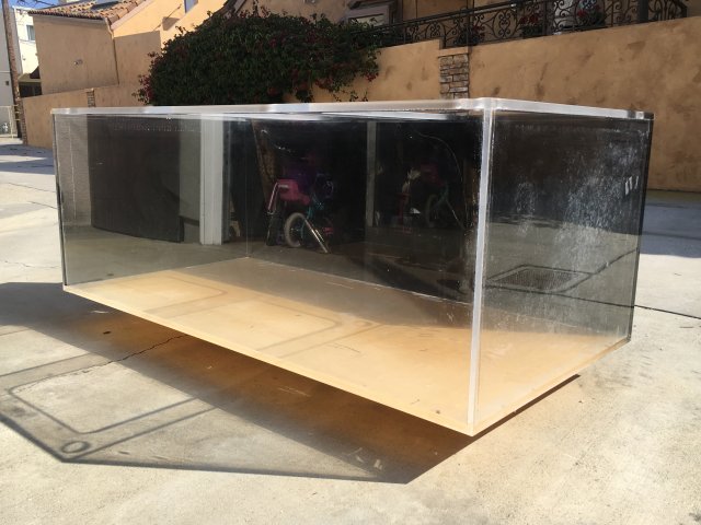 image.jpeg image.jpeg