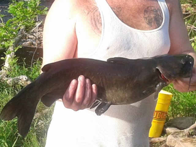 20160529_072726_resized.jpg
