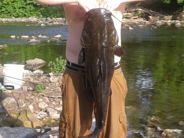 20160529_074821_resized.jpg