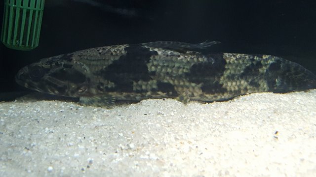 20160515_215310.jpg