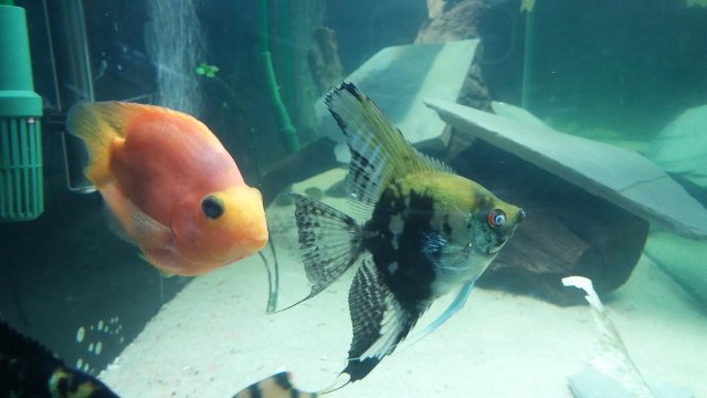 20160305_215308_HDR.jpg