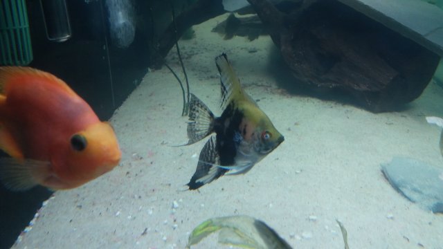 20160305_215330.jpg