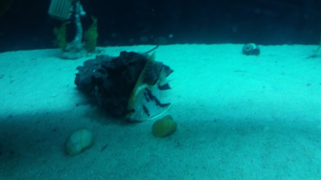 20160306_152419.jpg