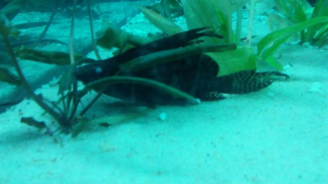 20160306_152426.jpg 20160306_152426.jpg