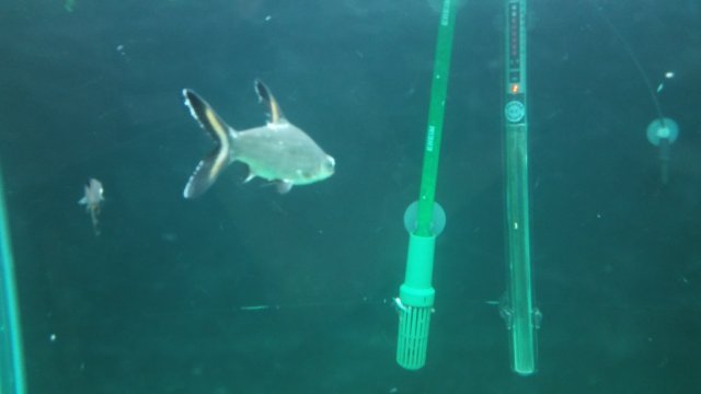 20160306_152444.jpg