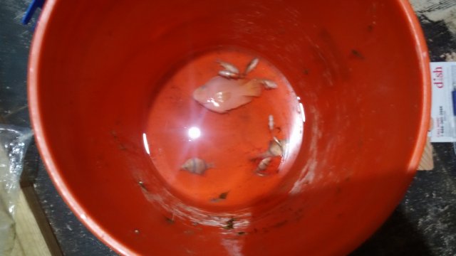 20160306_152406.jpg