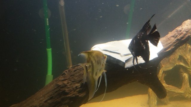 20160313_115959.jpg